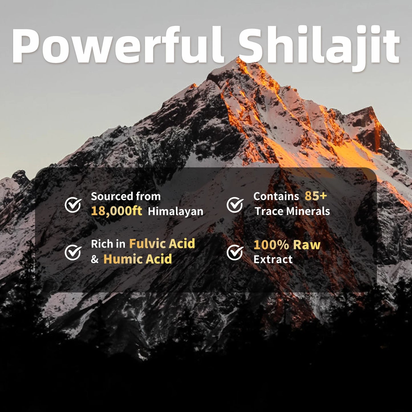 BEWORTHS Pure Ginseng Shilajit Capsules — Potent Herbal Nutrition with Trace Minerals & Fulvic Acid for Strength, Energy & Vitality (60 / 120 Capsules)