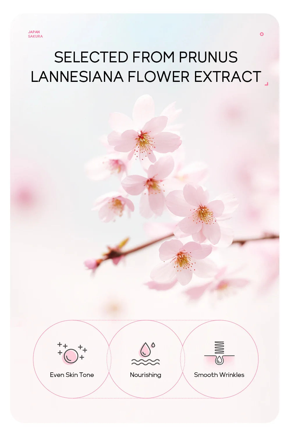 LAIKOU Sakura 24K Gold Peeling Mask