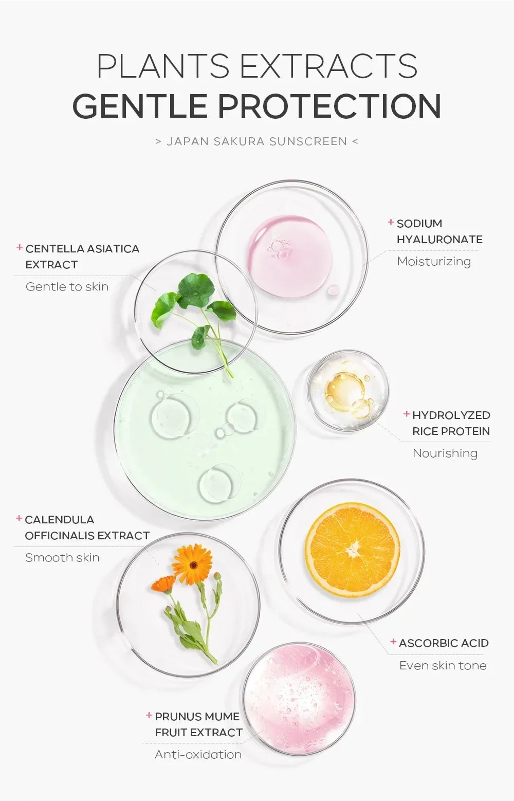 Laikou Sakura Whitening Cream — SPF 50 Sunscreen & Moisturizing Facial Protector (30 g)