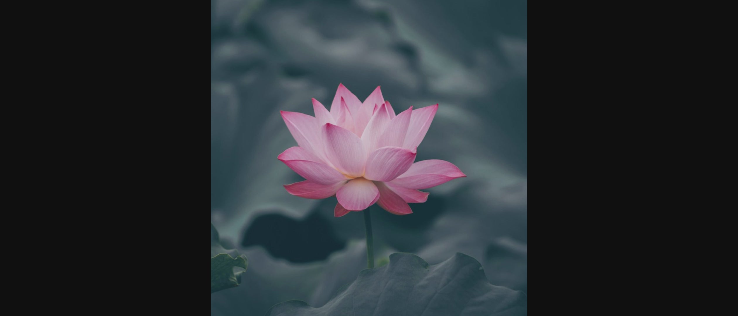 Load video: “Calming meditation video with soft, flowing visuals designed to create a peaceful, relaxing mood for WellvanaZen visitors.”